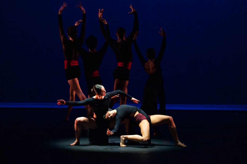 Power and Passion 3_La Follia_c_Allison Armfield